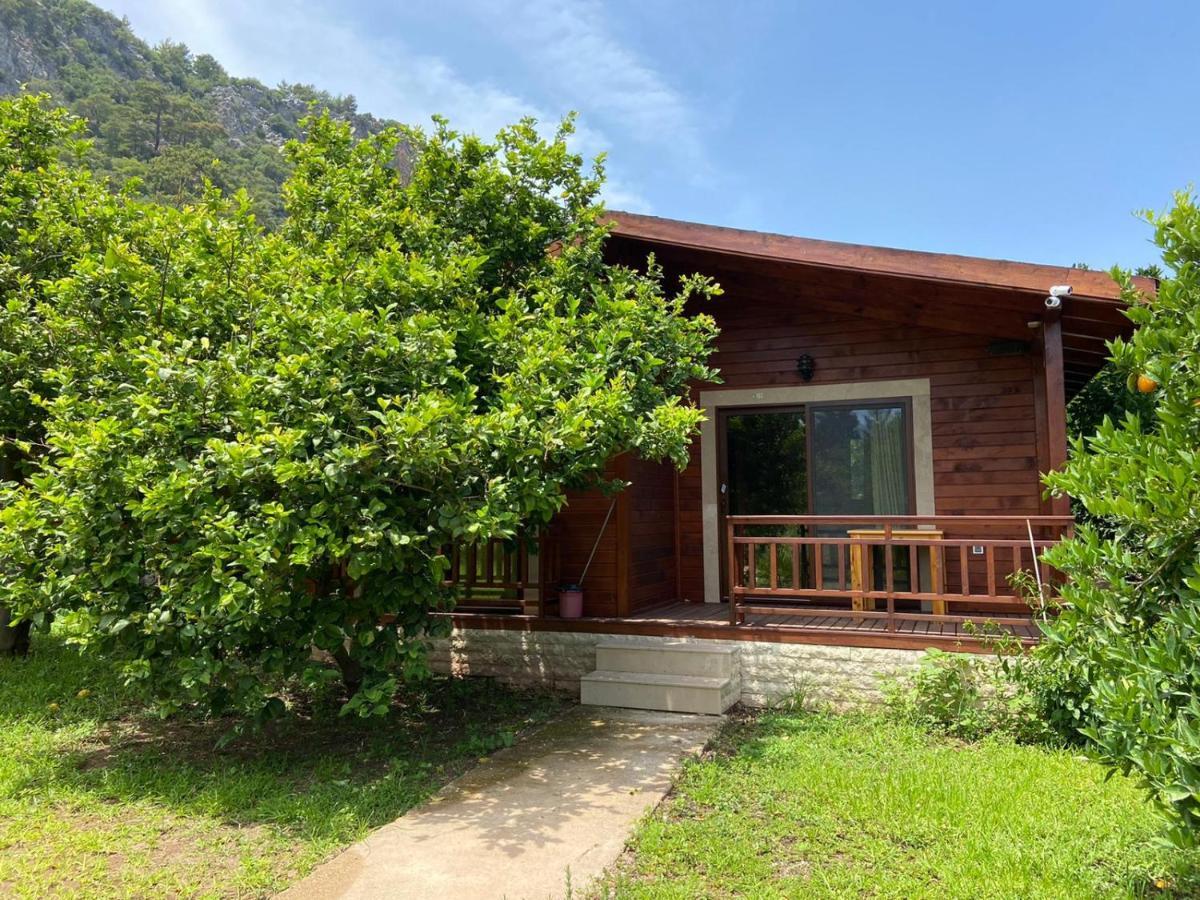 Cirali Villas 2 Zewnętrze zdjęcie