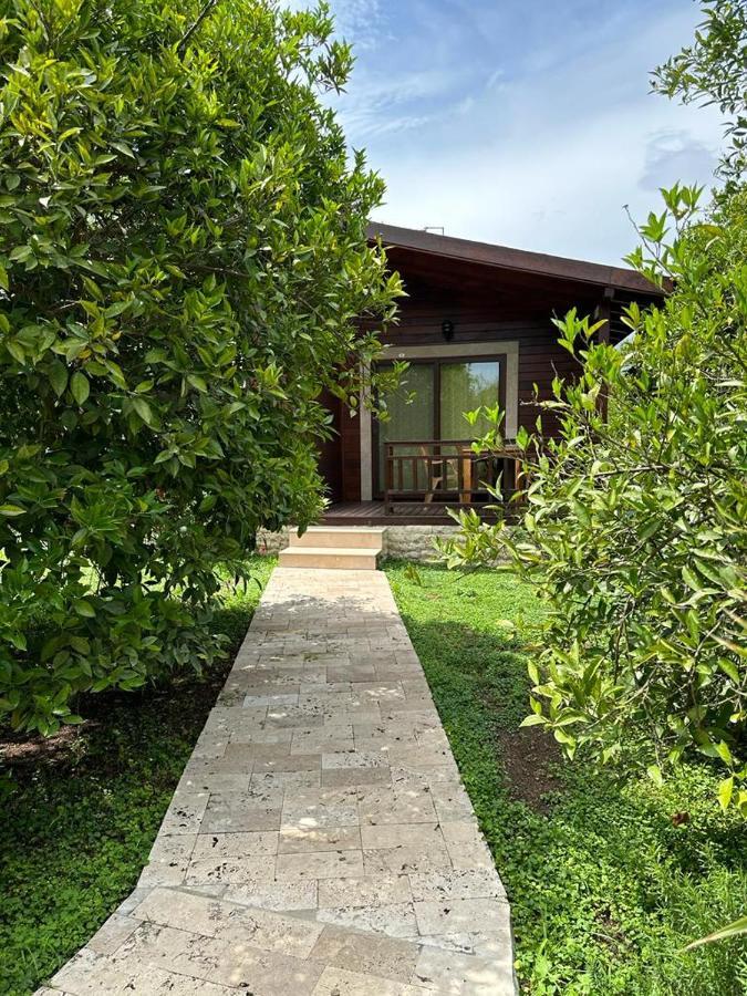Cirali Villas 2 Zewnętrze zdjęcie