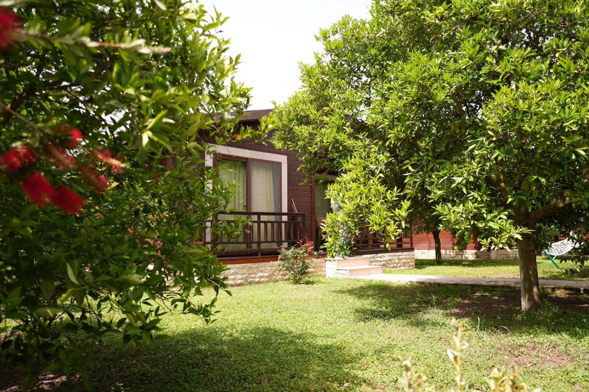 Cirali Villas 2 Zewnętrze zdjęcie